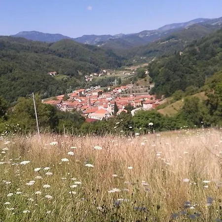 La Merlotta